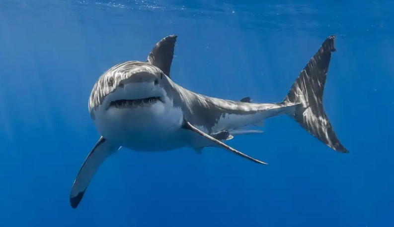 北京明宇塑料焊接中心轮播图2