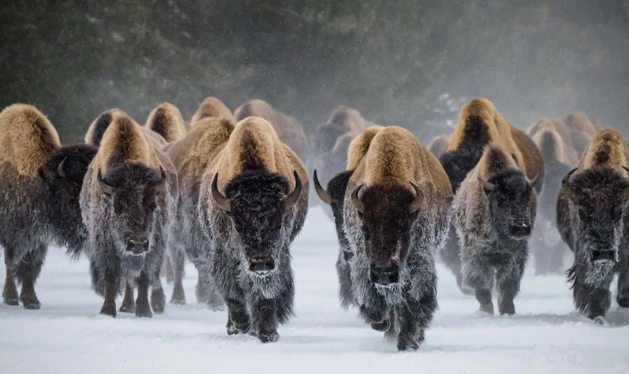 北京明宇塑料焊接中心轮播图4